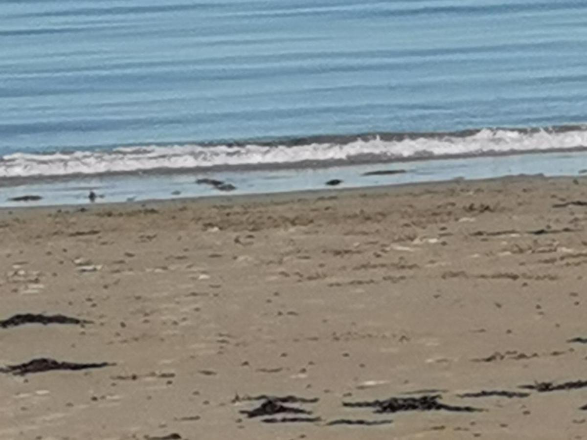Snowdonia Sunbeach Holiday Sea And Mountain View Llwyngwril Екстериор снимка